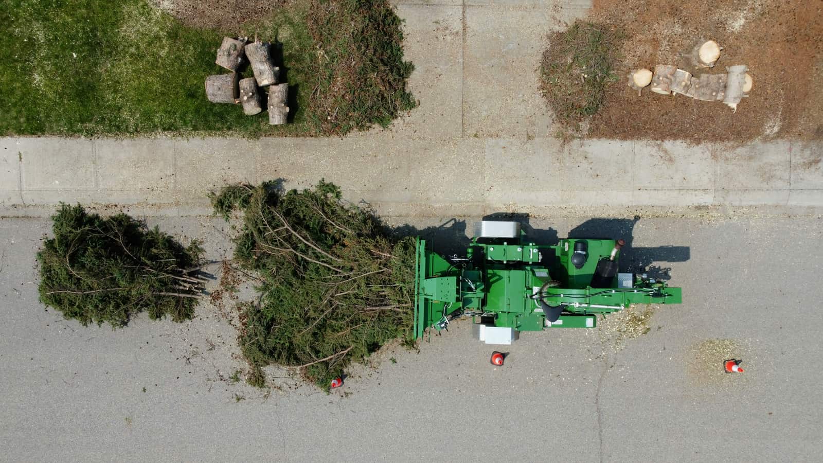 Stump grinding in Dallas